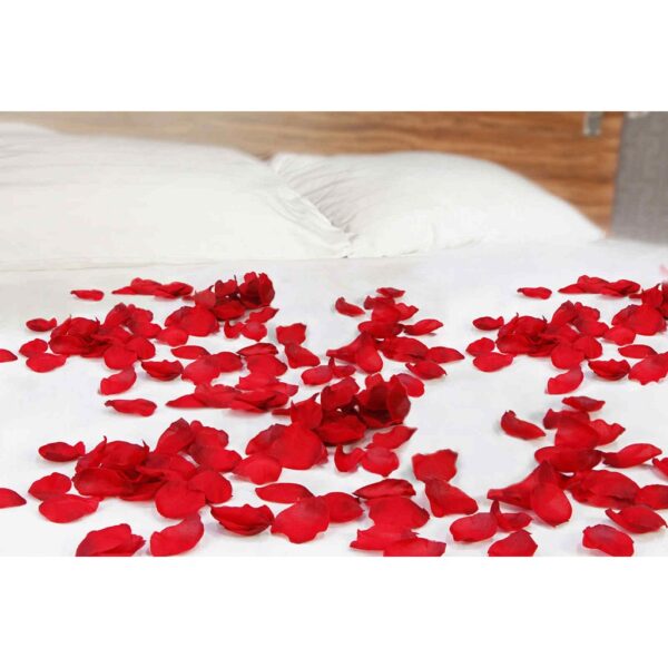 PÉTALAS DECORATIVAS AROMA MORANGO C/ CHAMPAGNE - Imagem 3